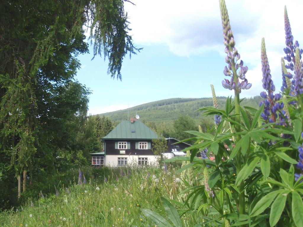 Vila Martin Harrachov Kültér fotó